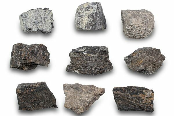 fossil-dinosaur-bone-sections-